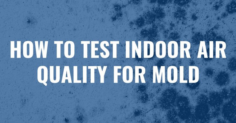 Read more about the article How To Test Indoor Air Quality For Mold