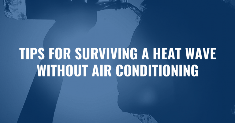 Read more about the article Tips for Surviving a Heat Wave Without Air Conditioning