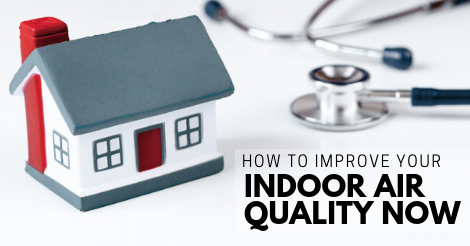 how to improve your indoor air quality right now