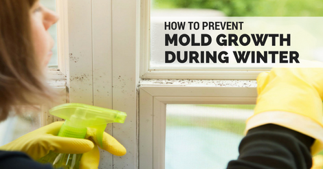 Read more about the article How to Prevent Mold Growth During the Winter